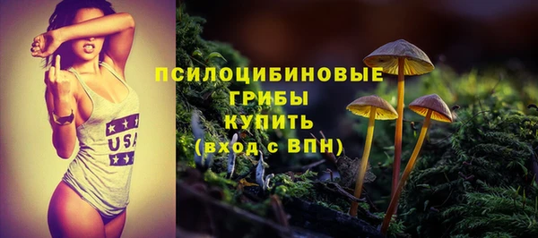PSILOCYBIN Абдулино