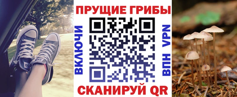 Псилоцибиновые грибы MAGIC MUSHROOMS  гидра как войти  Ирбит  купить  
